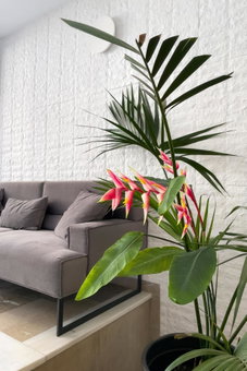 Aonia Luxurious Modern Boutique Apartments, Chalkida, Greece
