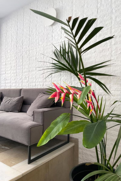Aonia Luxurious Modern Boutique Apartments, Chalkida, Greece