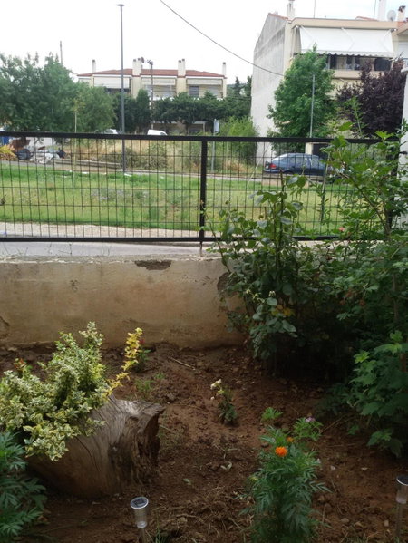 Thesshouse Pefka FK, Thessaloniki, Greece