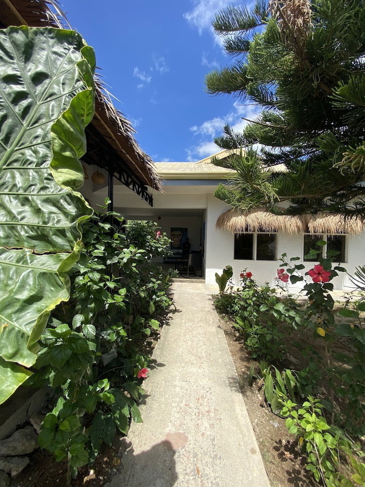 Wild Monkeys Hostel, Philippines
