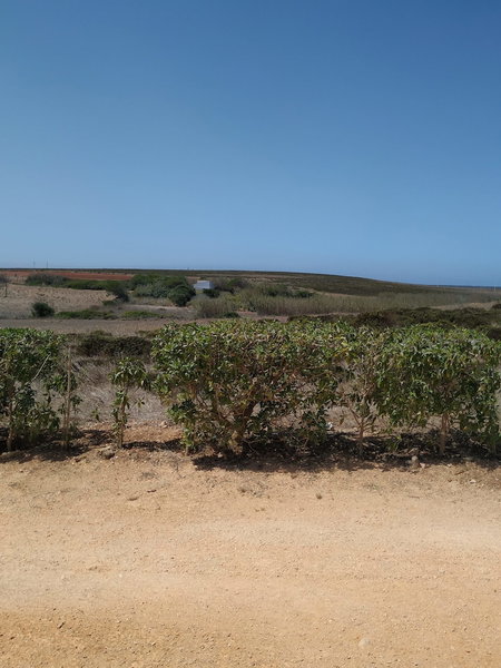 Vivenda Familia Pedro, Vila do Bispo, Portugal