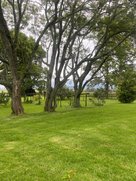 Bellevue Berg Cottage, Bergville, South Africa