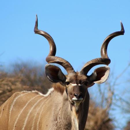Sentosa Place, Hoedspruit, South Africa