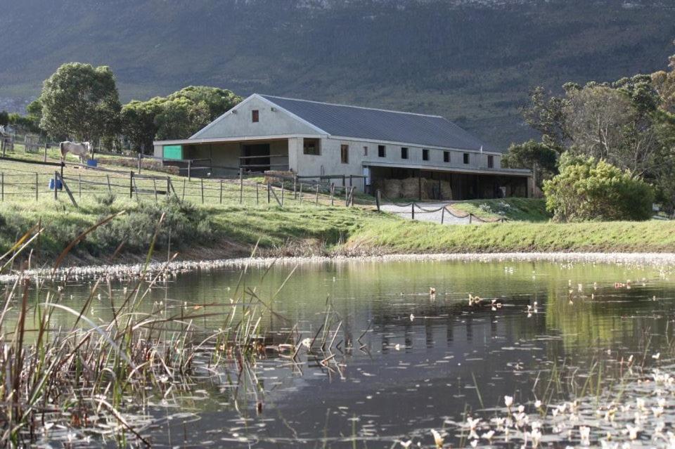 Shabach Farm, South Africa