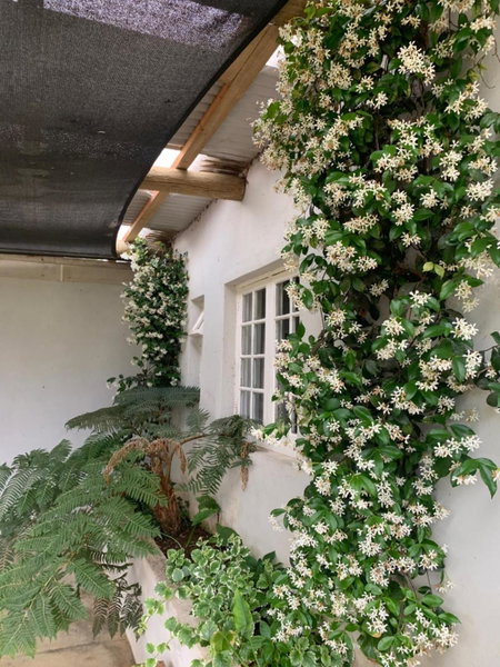 Shabach Farm, Hartebeesrivier, South Africa