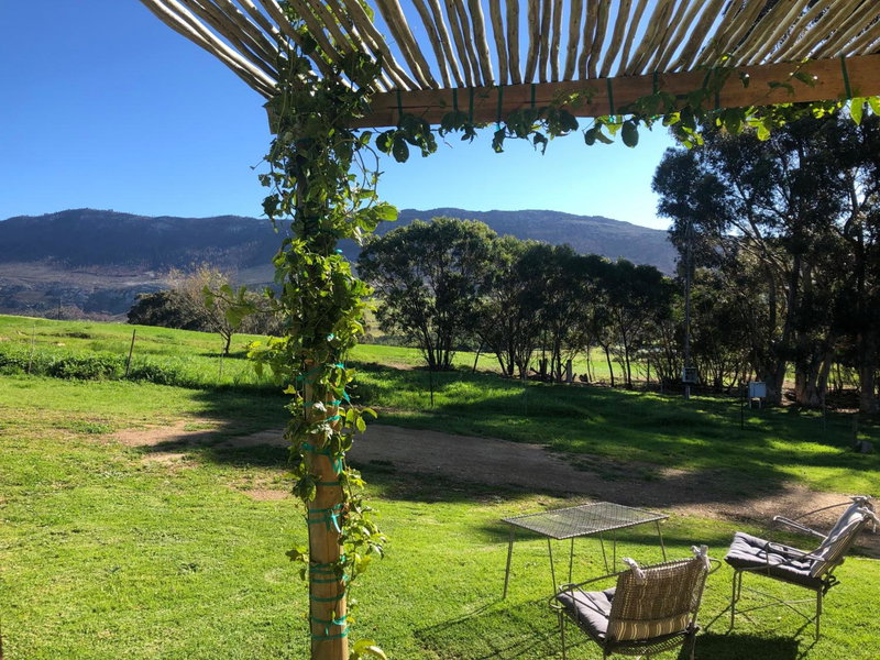 Shabach Farm, Hartebeesrivier, South Africa