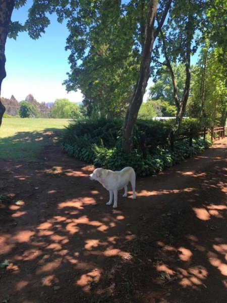 Douglas Drift Cottages, Underberg, South Africa