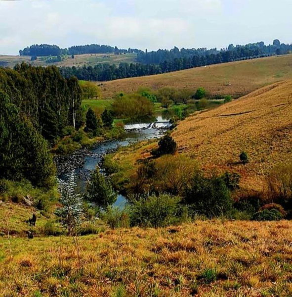 Douglas Drift Cottages, Underberg, South Africa