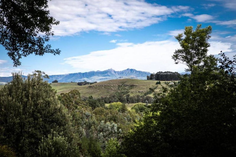 Douglas Drift Cottages, Underberg, South Africa