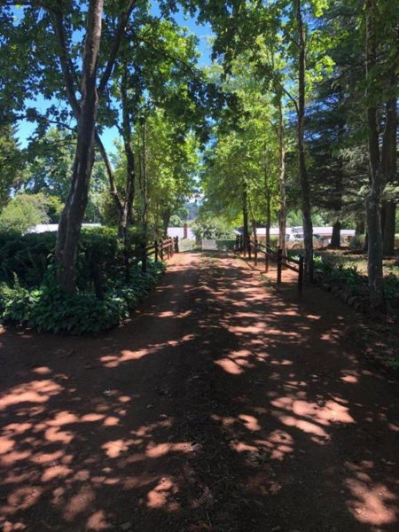 Douglas Drift Cottages, Underberg, South Africa