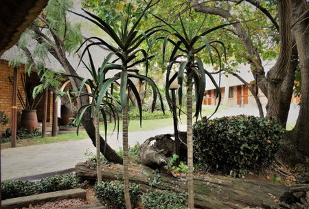 Klein Bosveld Guesthouse, Emalahleni, South Africa