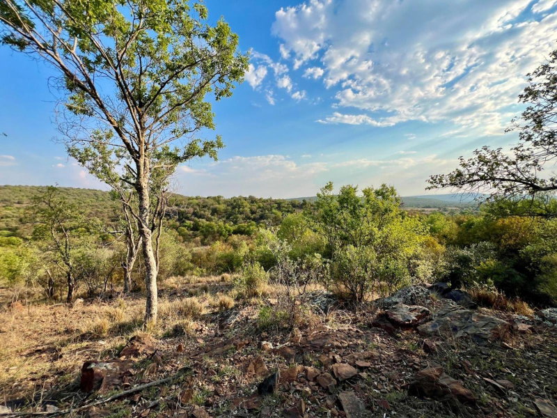 Rustenzicht Lodge and Wedding Venue, Rustenburg, South Africa