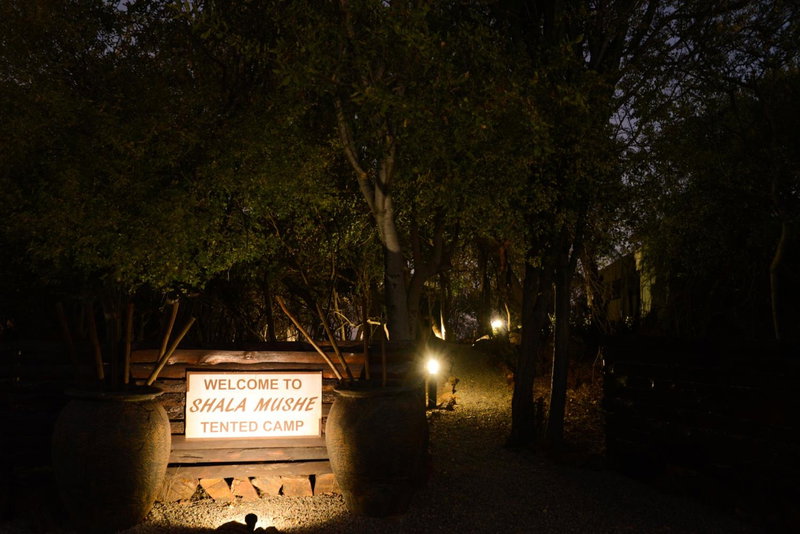 Shala Mushe Tented Camp & Camp, Warmbaths, South Africa