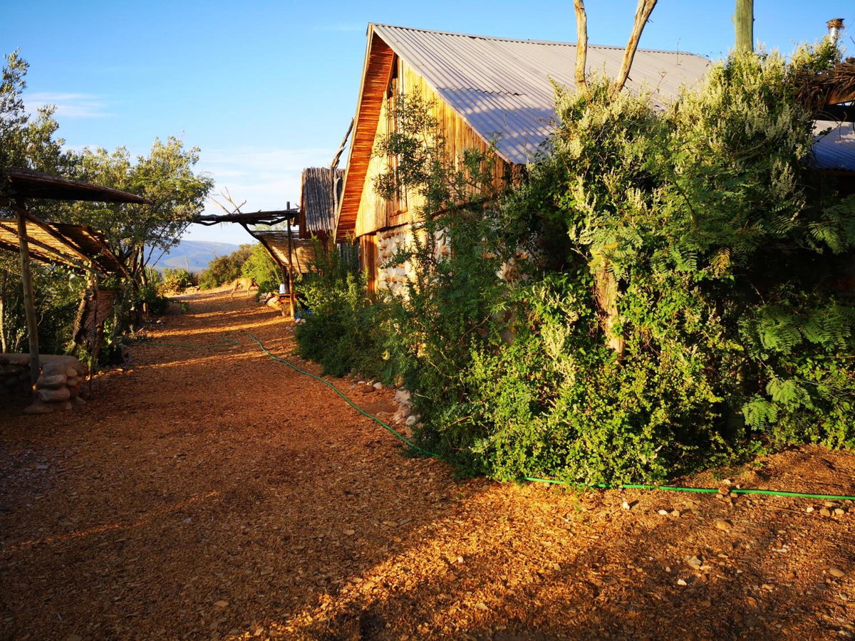 Hotel · Amber Lagoon Eco Chalets, Rooms, Camping and Glamping, Vleirivier