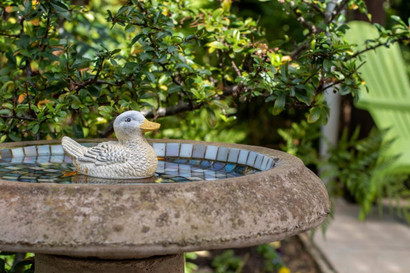 Birdsong, Hermanus, South Africa