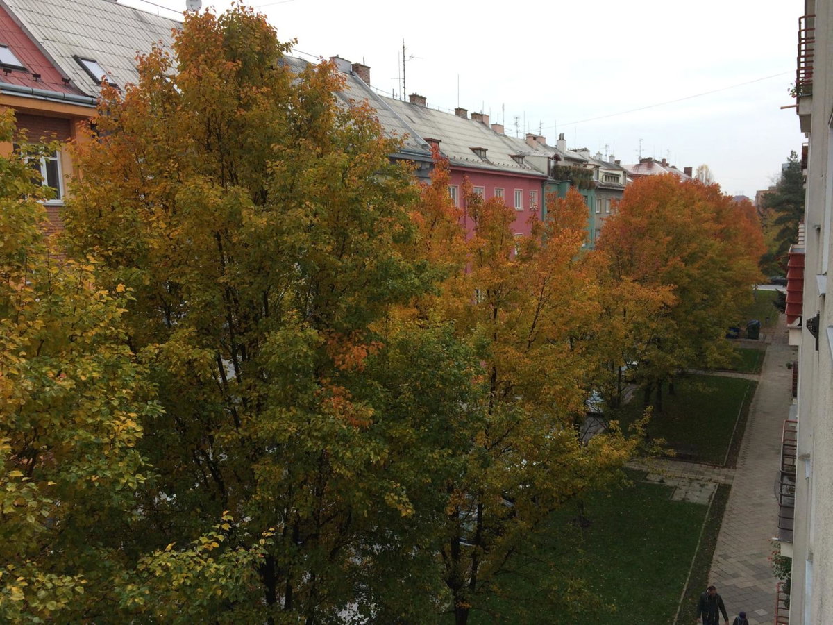 Apartment Sophie Olomouc, Czechia
