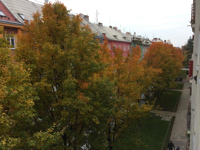 Apartment Sophie Olomouc, Olomouc, Czechia