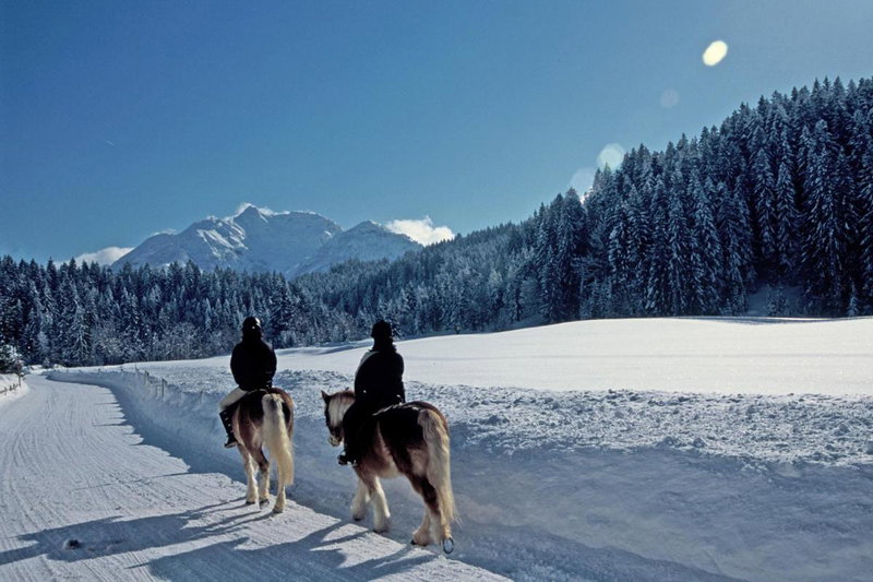 Apartment Aschaber, Waidring, Austria