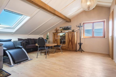 Luxuriöses Penthouse-appartement, Höchst, Austria