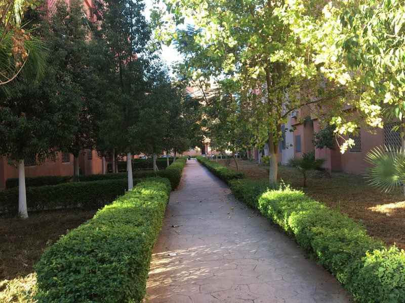 Theresa apartments, Marrakech, Morocco