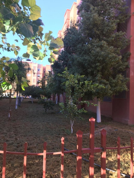 Theresa apartments, Marrakech, Morocco