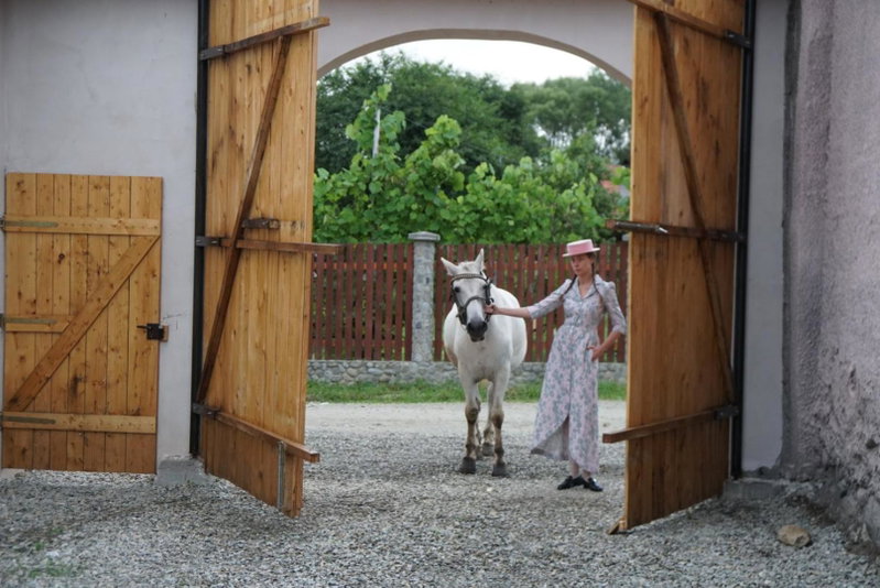 331, Porumbacu de Sus, Romania