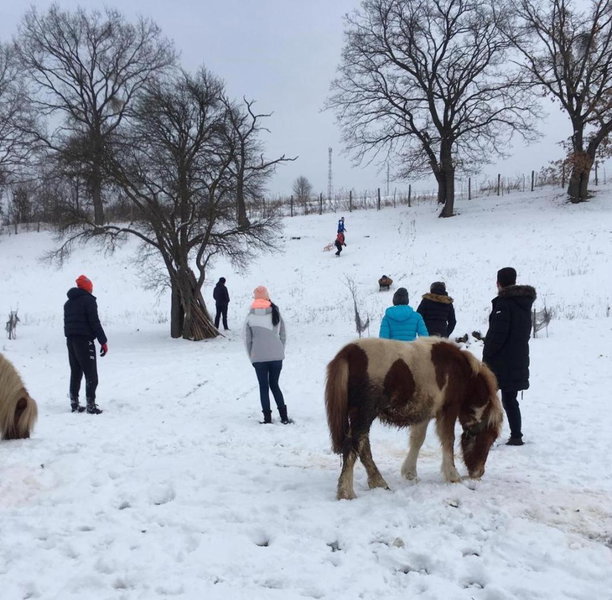Casuta Cu Flori, Vîlcele, Romania