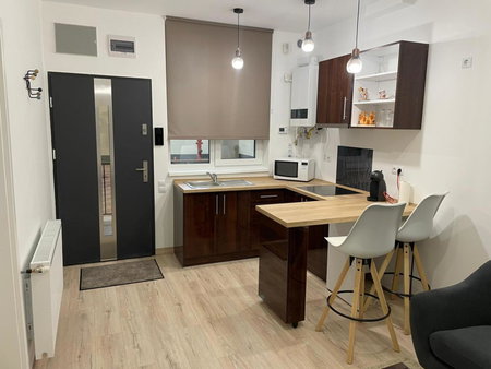 Apartament centrul vechi, Baia Mare, Romania