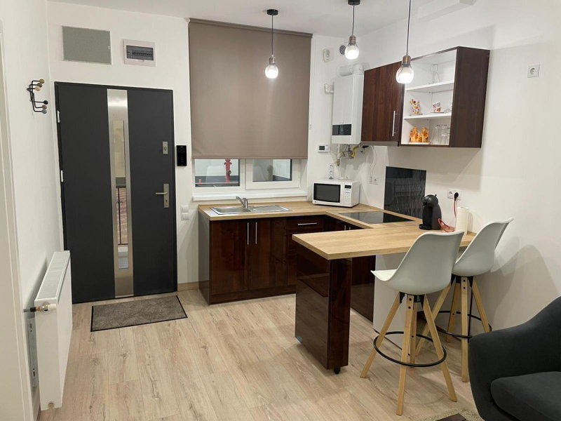 Apartament centrul vechi, Baia Mare, Romania