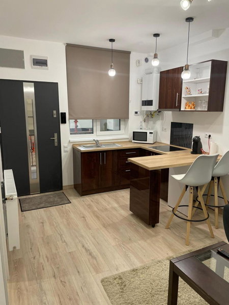 Apartament centrul vechi, Baia Mare, Romania