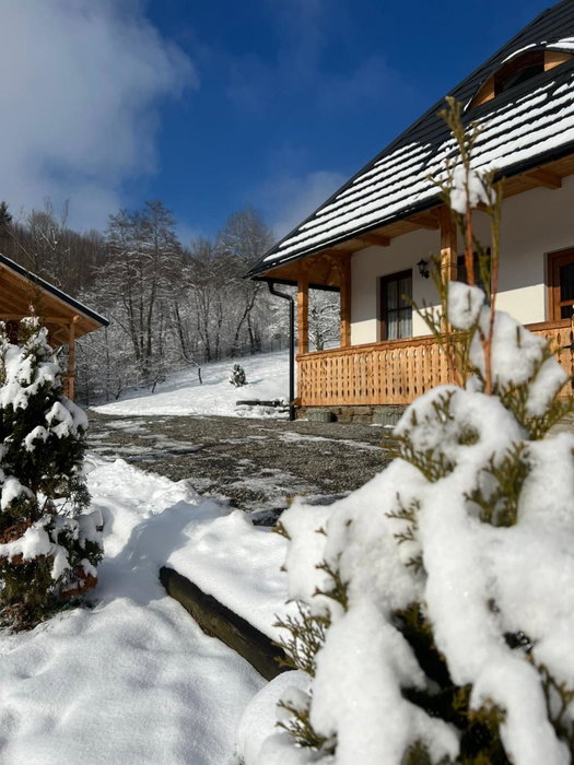 Casa Berg, Vişeu de Sus, Romania