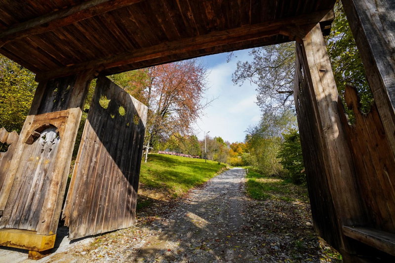 Casa Berg, Vişeu de Sus, Romania