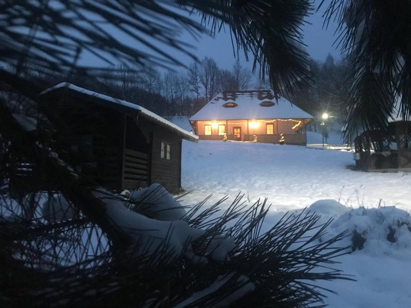 Casa Berg, Vişeu de Sus, Romania
