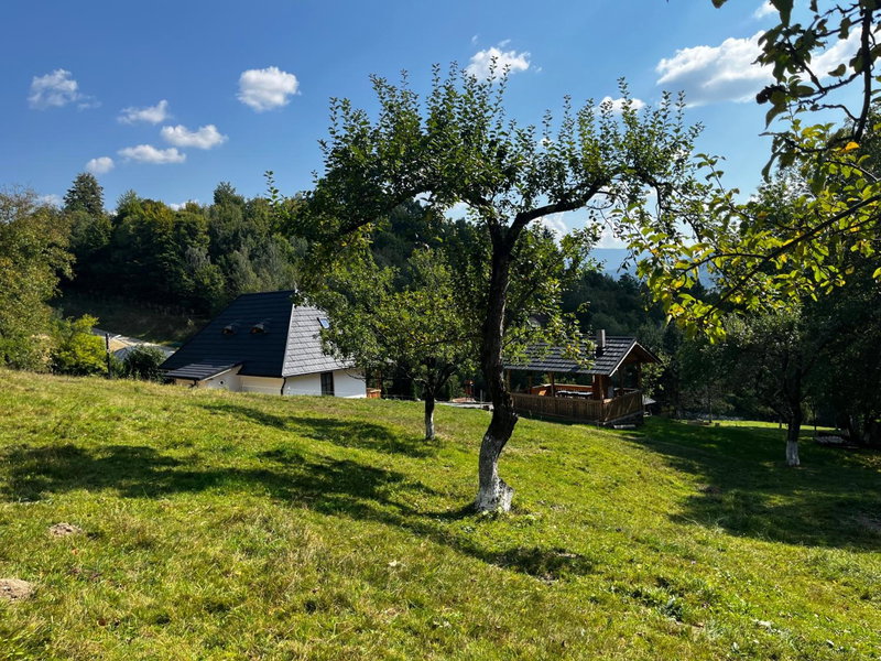 Casa Berg, Vişeu de Sus, Romania