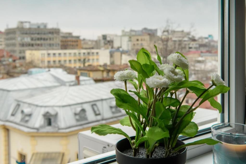 Hotel · CALDERON - Studio in Centre at Universitate & Old Town, Bucharest
