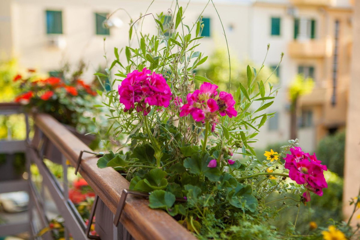Hotel · Luxury Apartment Luce, Split