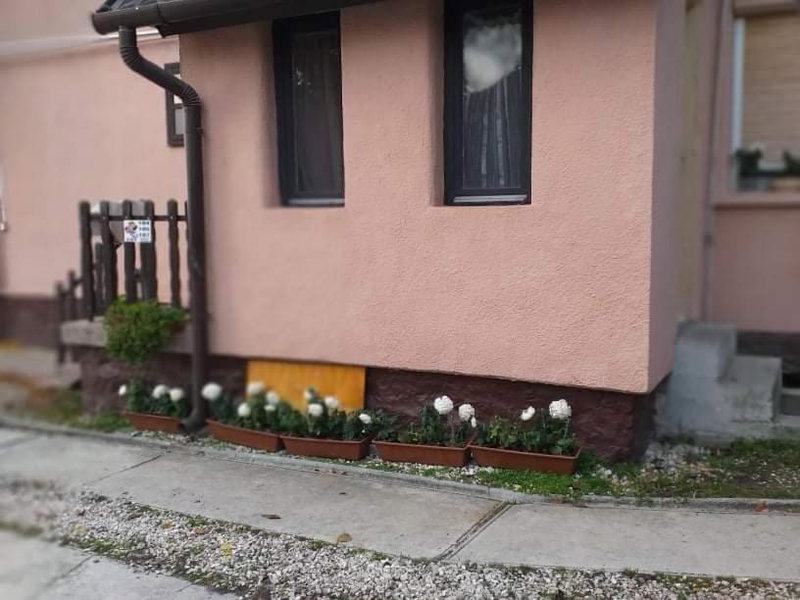 Malomtavi Vendégház Tapolca, Tapolca, Hungary