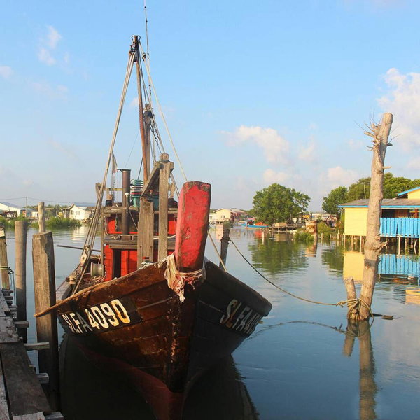 Sea Lion Pulau Ketam Bungalow Homestay, Bagan Teochew, Malaysia