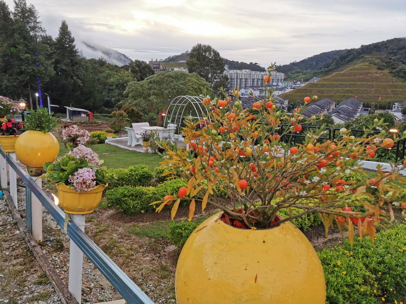 Dear Dino Villa Cameron Highlands, Cameron Highlands, Malaysia