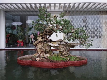 New Palace Bac Lieu Hotel, Bac Lieu, Vietnam