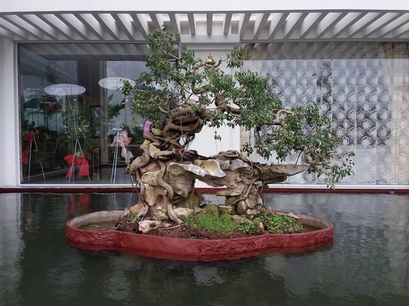 New Palace Bac Lieu Hotel, Bac Lieu, Vietnam
