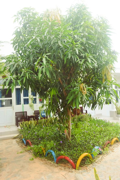 Doi Dua Homestay, Phan Thiet, Vietnam