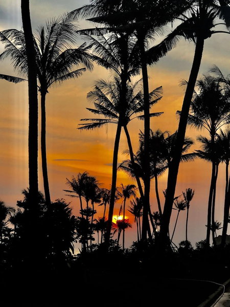 Kakashi hotel Phu Quoc, Phu Quoc, Vietnam