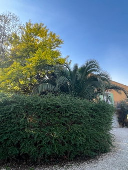 Les Jardins du Soleil, Avignon, France