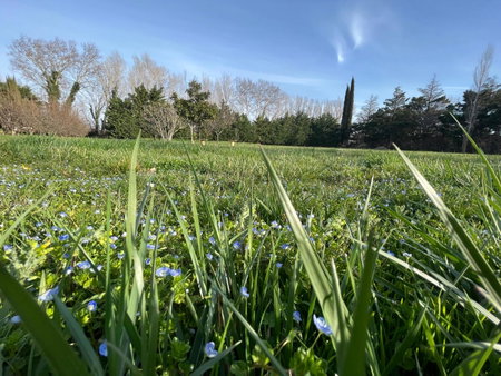 Les Jardins du Soleil, Avignon, France