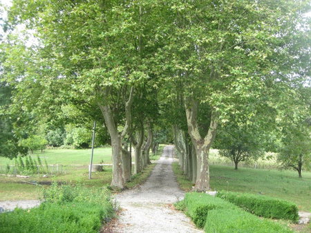 Domaine de Calbiac - On the boardwalk, Dolmayrac, France