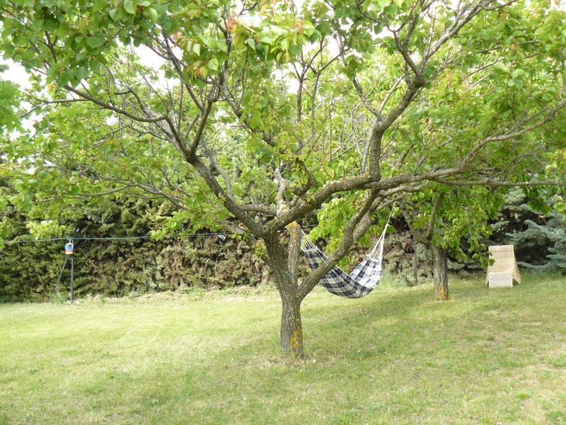 B&B La Grande Dame, Valensole, France