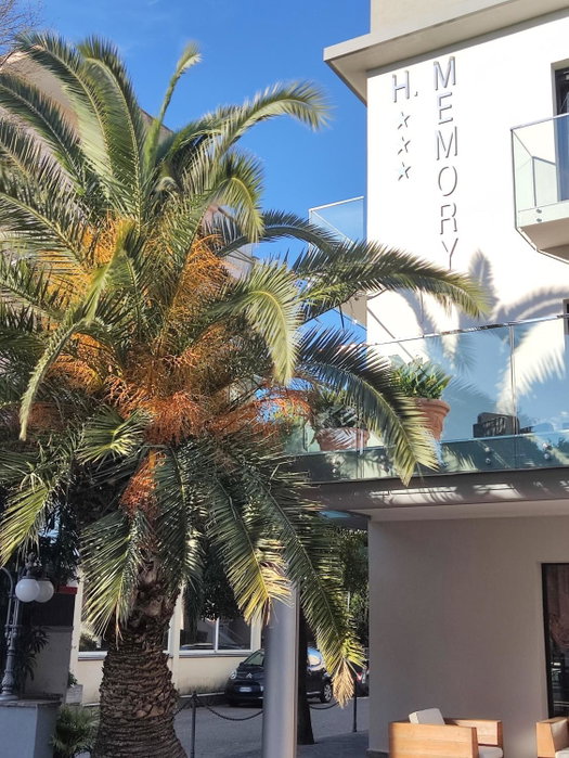 Hotel Memory, Rimini, Italy