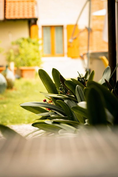 Agriturismo Podere Nigriano, Salò, Italy