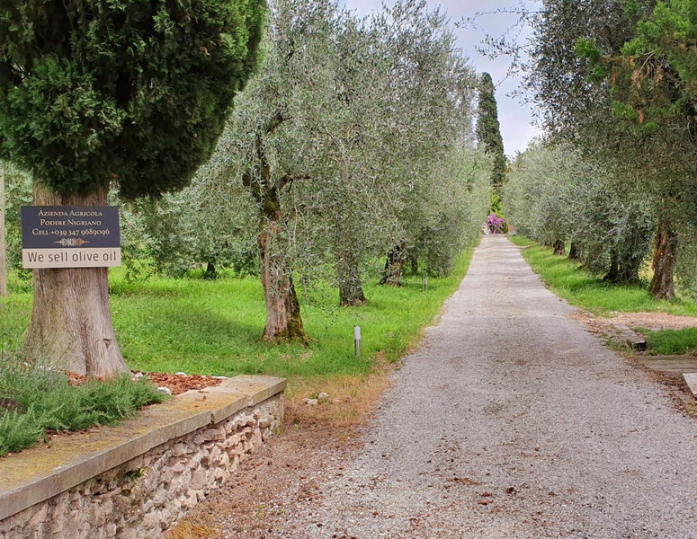 Agriturismo Podere Nigriano, Salò, Italy